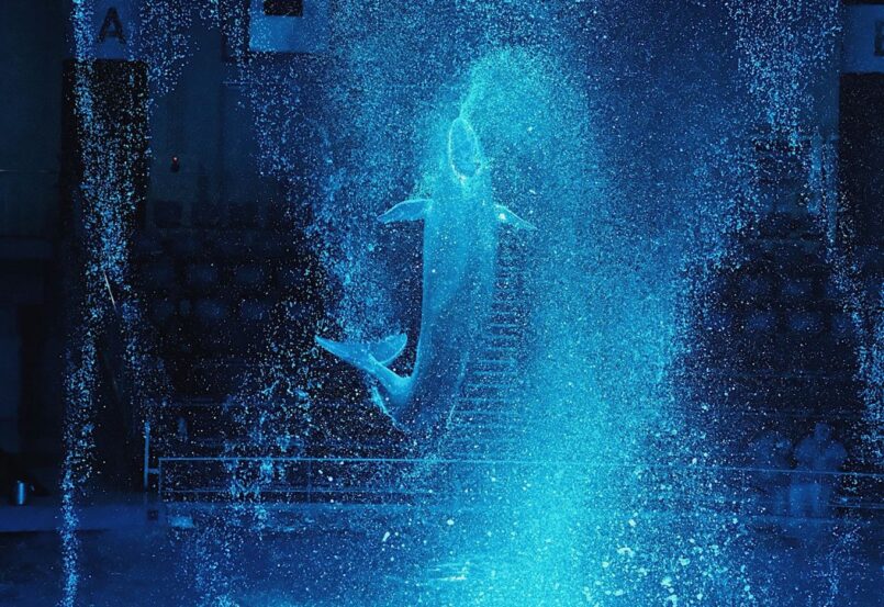 Tokyo: ท่องโลกใต้น้ำที่ Maxell Aquapark Shinagawa ชมโชว์ปลาโลมา แสง สี สุดล้ำ