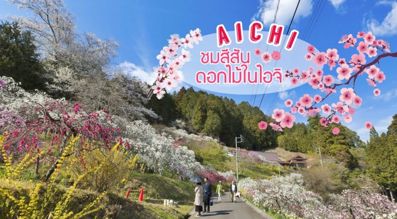 Aichi: สถานที่ชมสีสันดอกไม้ในไอจิ ต้อนรับการมาถึงของฤดูใบไม้ผลิ