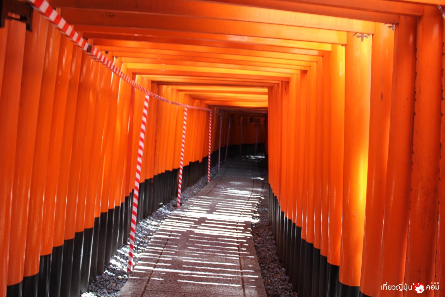 ทางเดินเสาโทริอิพันต้น Senbon Torii