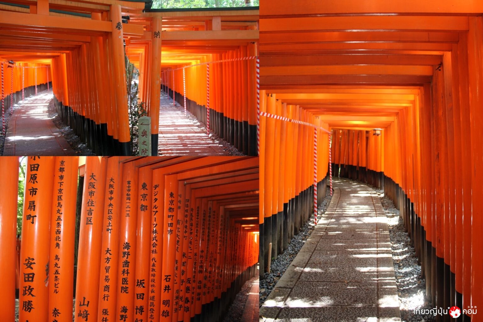 เสา Torii ที่ศาลเจ้า fushimi Inari