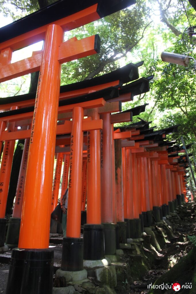 ทางเดินเสาโทริอิ