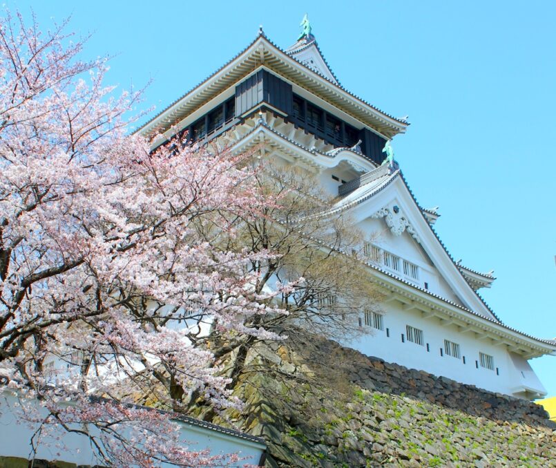 Kitakyushu: ชมซากุระที่ปราสาท Kokura