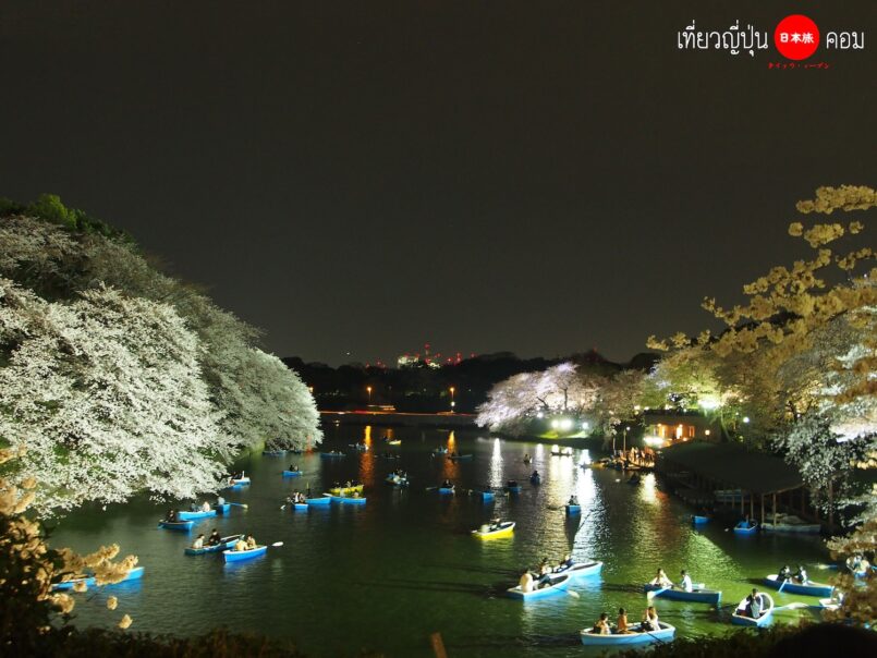 Tokyo: ซากุระกลางคืนที่สวน Chidorigafuchi