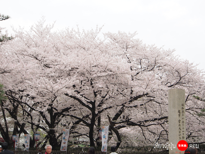 nagoya castle 49