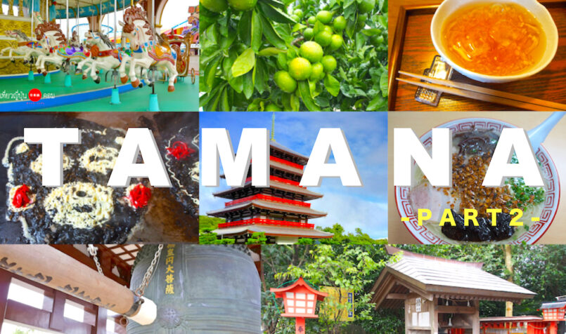 Kumamoto – Around Tamana City เที่ยวไปรอบๆเรียวกัง Satsuki Bessou