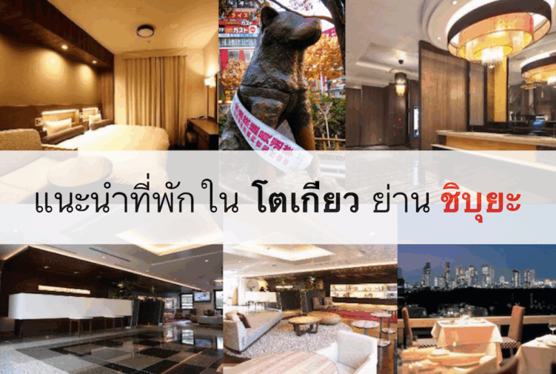 แนะนำโรงแรมในโตเกียว ย่าน Shibuya เดินทางสะดวก ราคาไม่แพง
