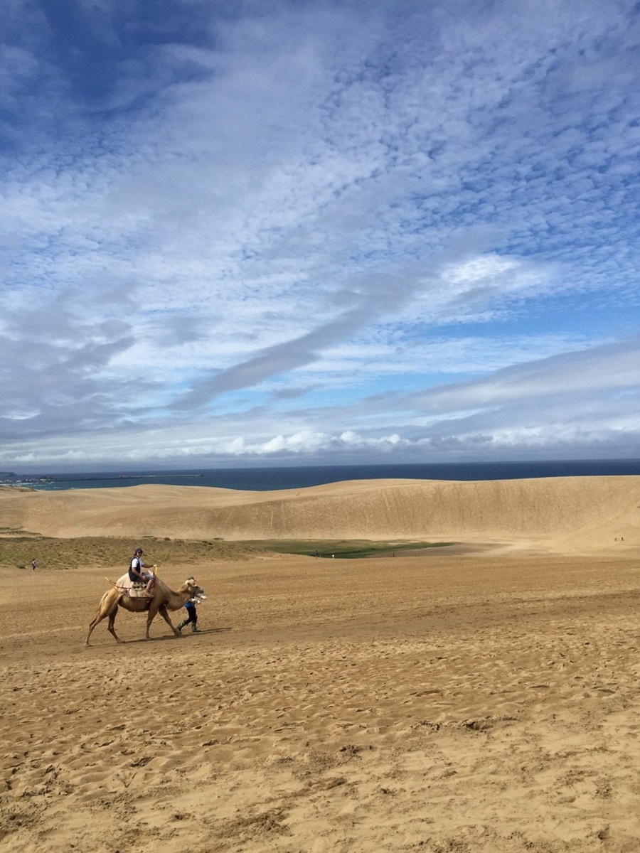 Tottori_sandDunes