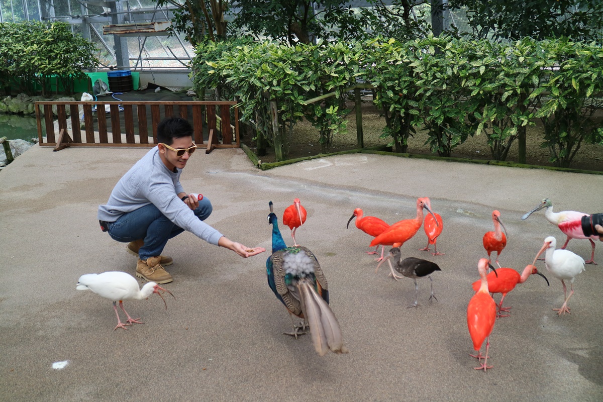 shimane_Matsue Vogelpark