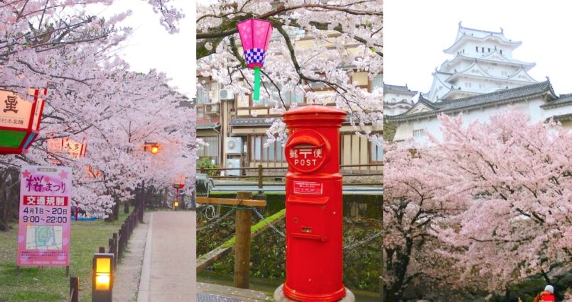 ชมซากุระ 3 เมือง Hikone, Kinosaki Onsen, Himeji จากโอซาก้า ด้วยพาส Kansai Wide Area