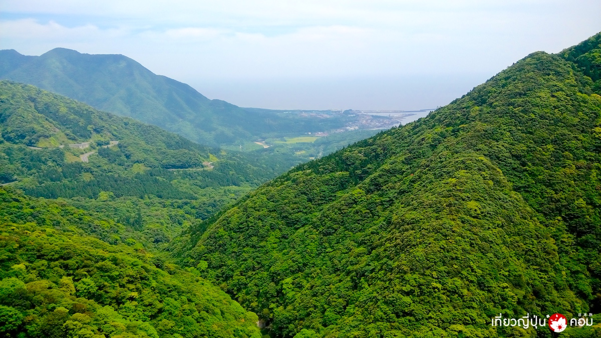 yakushima