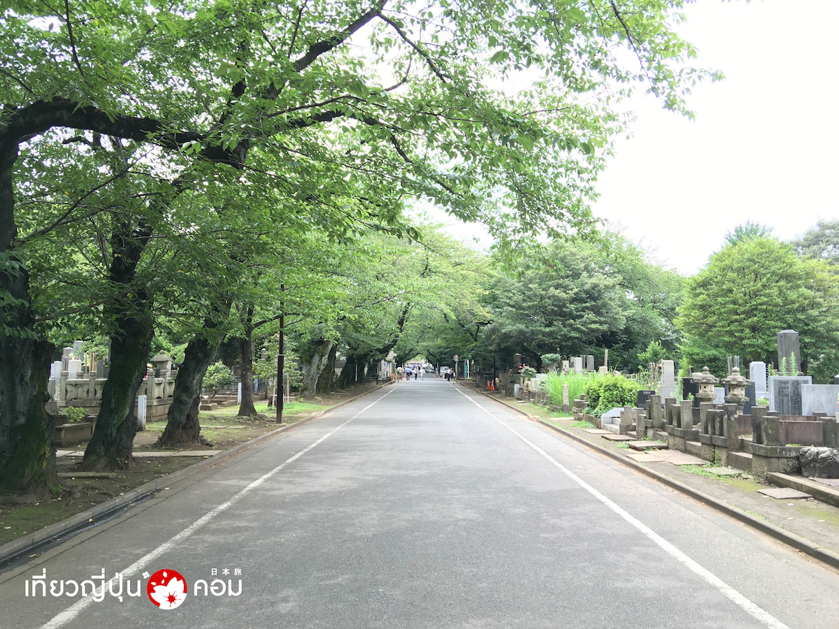 yanaka cemetry