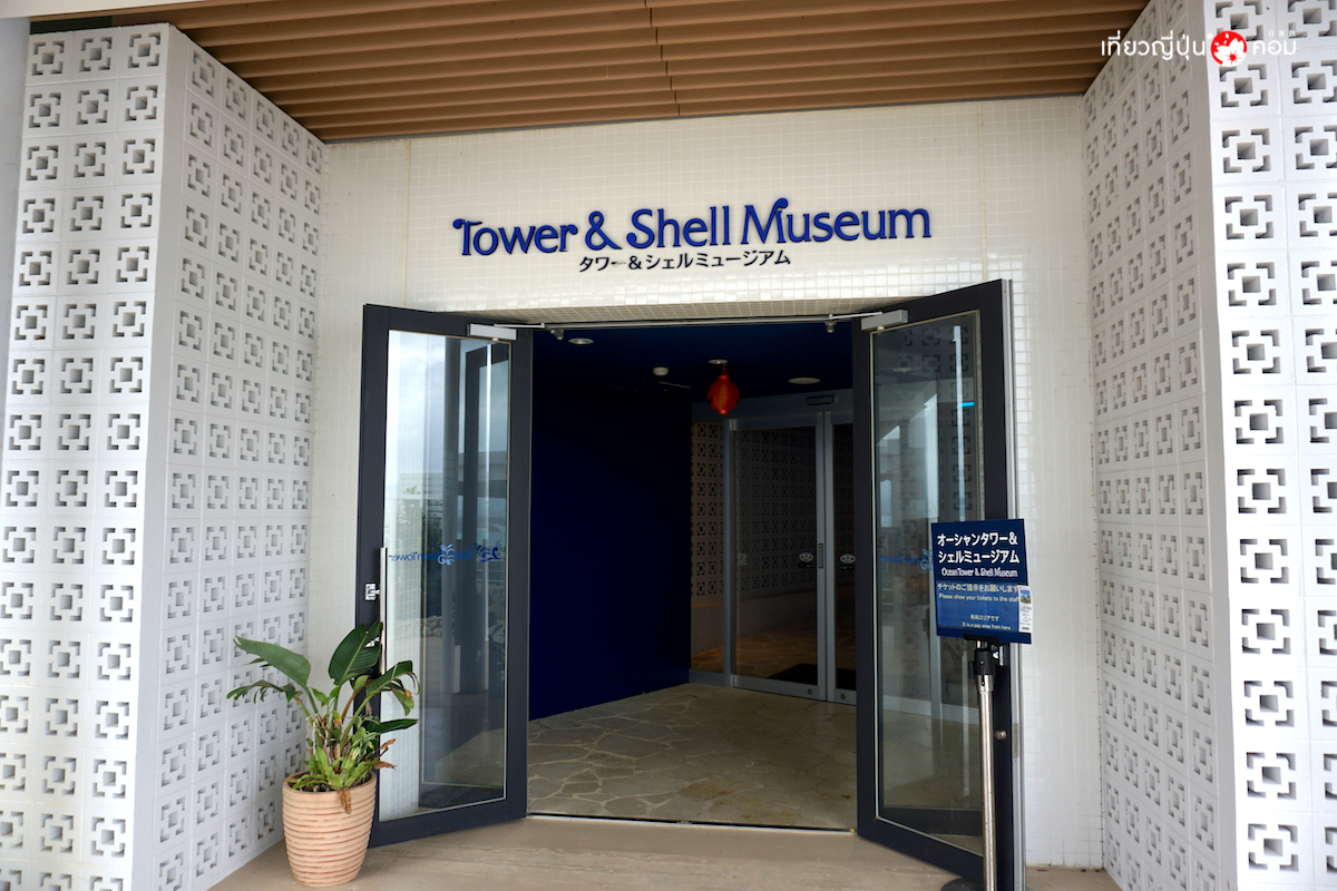 shell museum