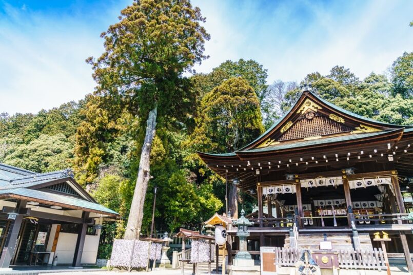 Kansai with Hankyu ตะลุยเที่ยวคันไซกับฮังคิว ตอน 3 ชิงะ (Shiga)