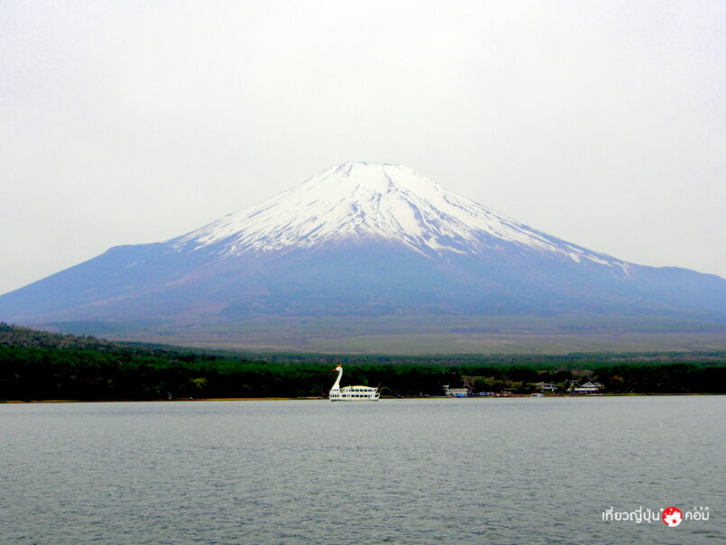 เที่ยว 1 วัน รอบฟุจิซัง ชมพิงค์มอส ล่องเรือ เที่ยวสวนสนุก Fuji-Q แวะหมู่บ้านนินจา