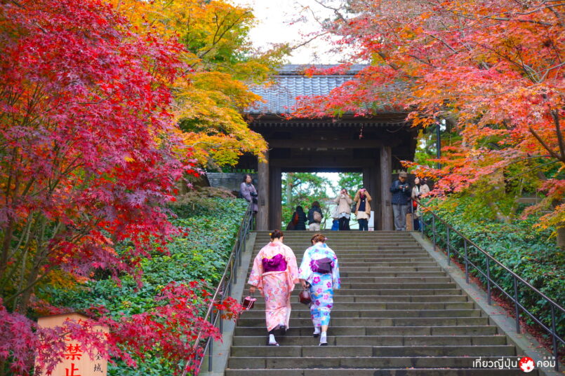 Kanto: เดินทางตามหาใบไม้เปลี่ยนสี จากโตเกียว ตอน 1: คะมะคุระ (Kamakura)