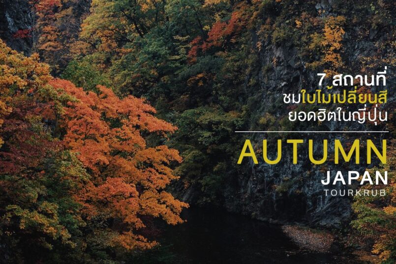 [Japan Autumn] แนะนำ 7 สถานที่ชมใบไม้เปลี่ยนสีที่ญี่ปุ่น