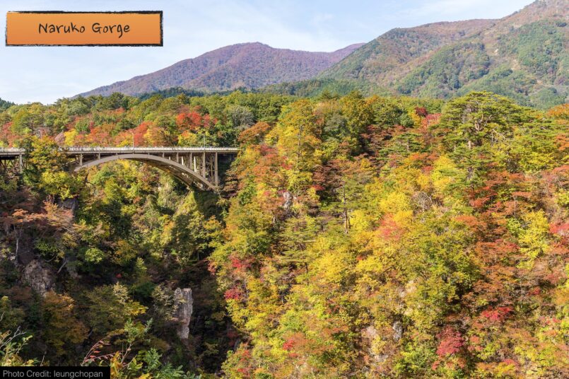 แนะนำ 8 เส้นทางขับรถ ชมความงามของใบไม้เปลี่ยนสี ด้วยตัวเอง