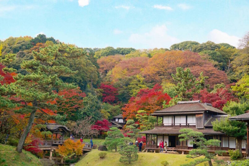 Kanto: เดินทางตามหาใบไม้เปลี่ยนสี จากโตเกียว ตอน 3: โยโกฮะมะ (Yokohama)