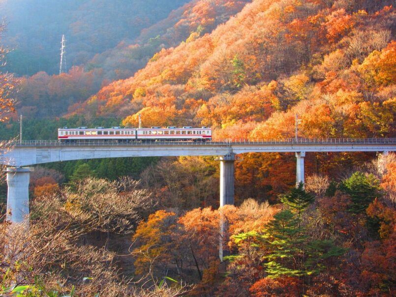 แนะนำ 11 สถานที่ ขับรถชมใบไม้เปลี่ยนสี ในญี่ปุ่น ครบครันทั้งธรรมชาติ ออนเซ็น เมืองเก่า วัดงาม