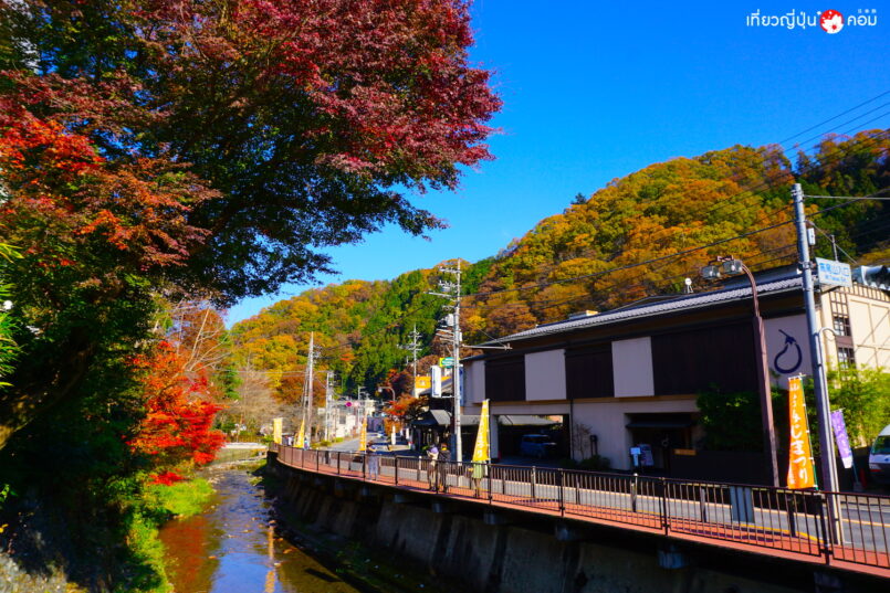 Kanto: เดินทางตามหาใบไม้เปลี่ยนสี จากโตเกียว ตอน 2: ภูเขาทะคะโอะ (Mount Takao)
