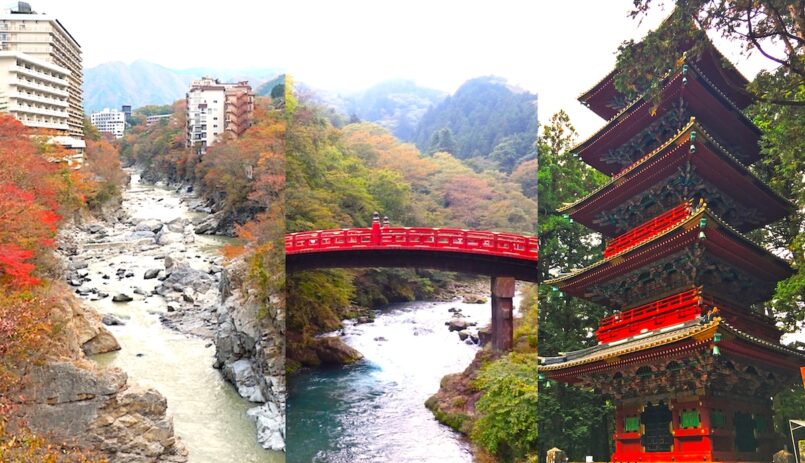 ตามรอยใบไม้เปลี่ยนสี บนเส้นทาง Diamond Route ตอน 1 : โทชิงิ (Tochigi)