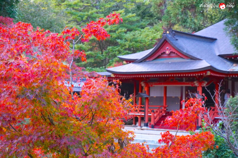 Kyoto: ย้อนอดีตสู่ยุคเฮอัน ผ่านวัด Daikakuji อายุ 1,200 ปี ทรงคุณค่าทางใจของชาวญี่ปุ่น