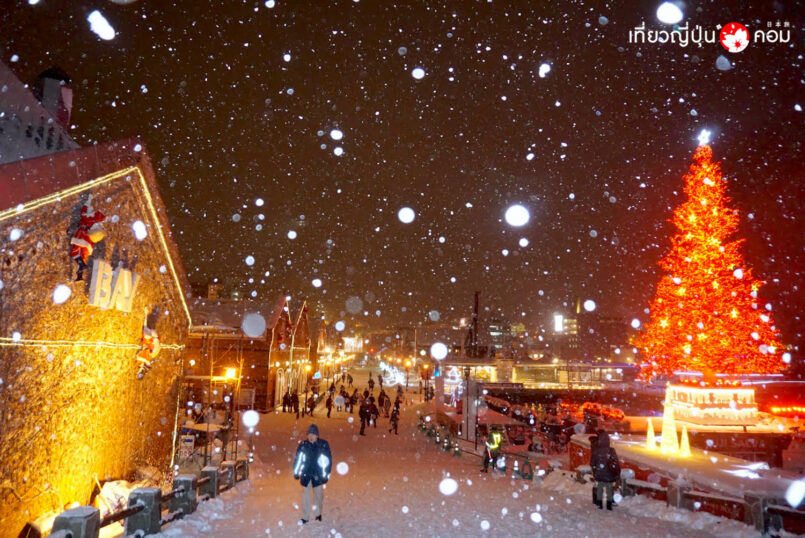 Hakodate Christmas Fantasy อีเวนต์คริสต์มาสประจำปีที่โกดังอิฐแดง เมืองฮาโกดะเตะ