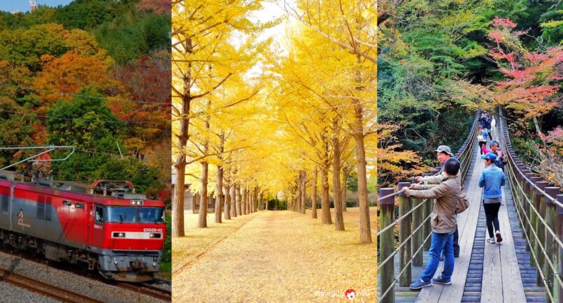 ตามรอยใบไม้เปลี่ยนสี บนเส้นทาง Diamond Route ตอน 3 : อิบะระกิ (Ibaraki)