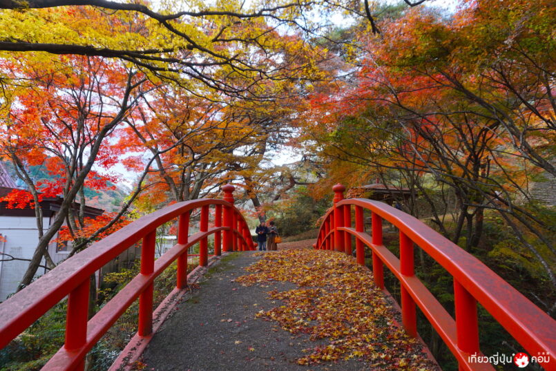 Fukushima: ฝังตัวในเขาใบไม้เปลี่ยนสีที่ Mount Yamatsuriyama