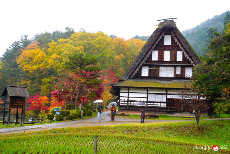ตะลุยเที่ยวเขต Japan Alps ช่วงใบไม้เปลี่ยนสี ตอน 3: Takayama-Shinhotaka