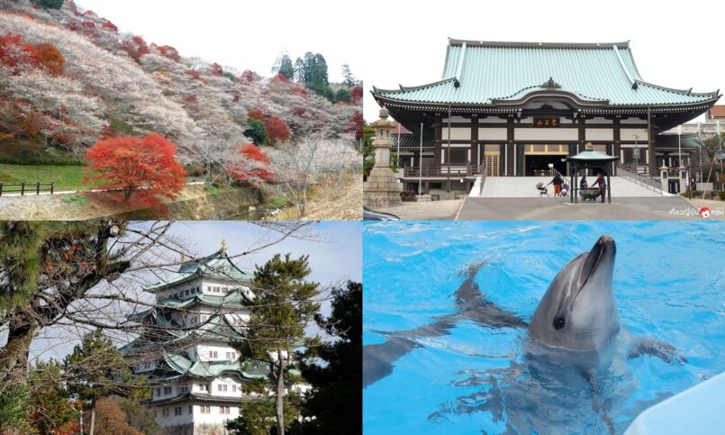 Chubu : ตะลุยใจกลางญี่ปุ่นช่วงปลายฤดูใบไม้เปลี่ยนสี ตอนที่ 3 : จังหวัดไอจิ (Aichi)