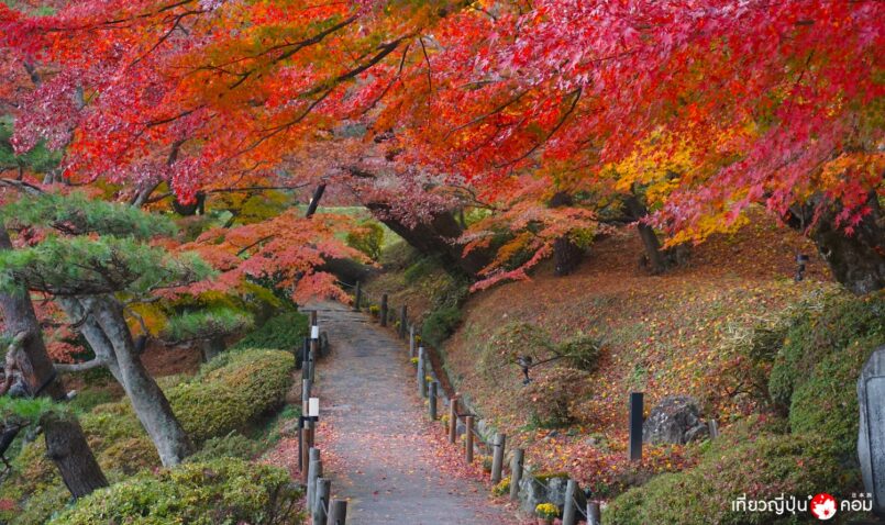 Fukushima: 5 จุดชมใบไม้เปลี่ยนสี ไม่ไกลจากสถานี Koriyama