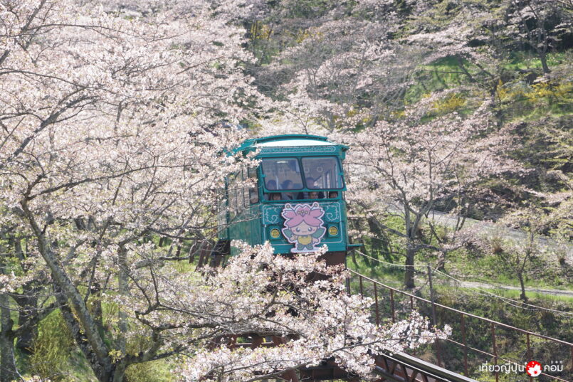 Miyagi: นั่ง Slope car ชมวิวซากุระ สักการะเจ้าแม่กวนอิม ณ สวนปราสาท Funaoka