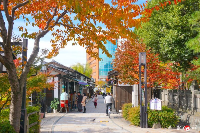 Nagano: เที่ยวรอบปราสาทมัตสึโมโตะ ชมผลงานลายจุด ของคุณป้ายาโยอิ ในฤดูใบไม้ร่วง