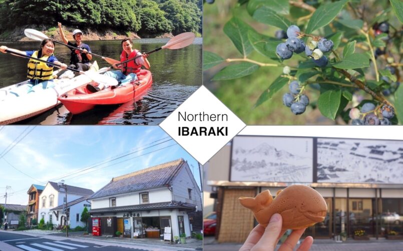 Ibaraki: พายแคนูกลางหุบเขา เดินเที่ยวย่านโบราณ ที่เมือง Hitachiota และเก็บบลูเบอร์รี่ทานสดๆ ที่เมือง Hitachi