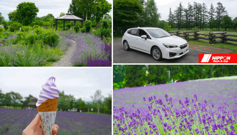 Hokkaido: เช่ารถขับชมทุ่งลาเวนเดอร์ที่ Furano ต่อด้วยสวนสวยทั้งห้าที่ Obihiro