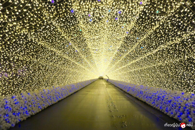Nabana no sato Illumination งานประดับไฟอันดับ 1 ของญี่ปุ่น จัดถึง มิถุนา!