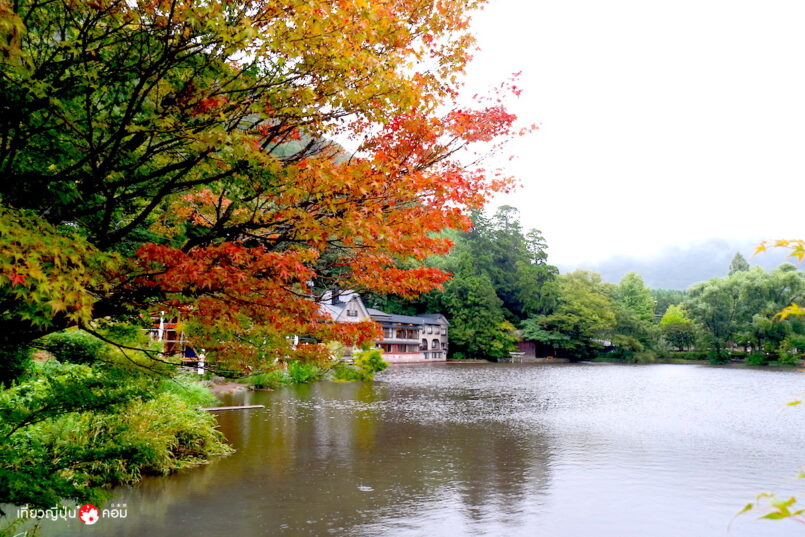 นั่งรถไฟ JR Kyushu ตะลุยเกาะใต้ ชมวิวสวย 3 จังหวัด ตอนที่ 1: โออิตะ (Oita)