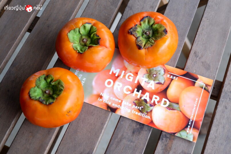 นั่งรถไฟ JR Kyushu ตะลุยเกาะใต้ ชมวิวสวย 3 จังหวัด ตอนที่ 3 : ฟุกุโอกะ (Fukuoka)