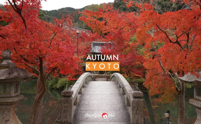 Kyoto: เที่ยวเกียวโต 3 วัน เต็มอิ่มกับใบไม้เปลี่ยนสี 10 ที่ เน้นจุดชมยอดนิยม