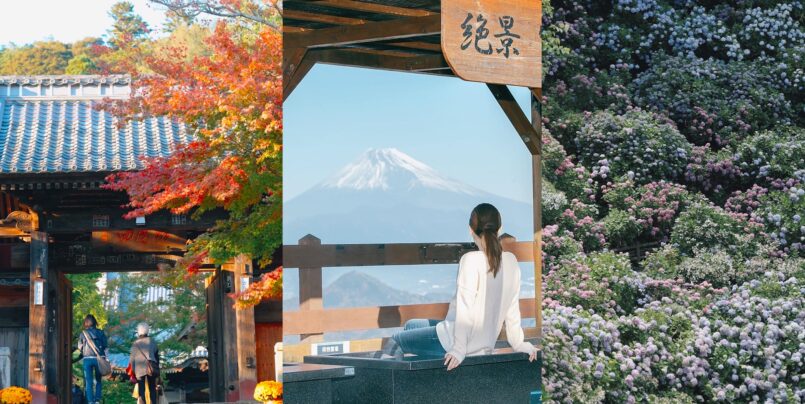 Shizuoka: รีวิวเที่ยวเจาะลึกคาบสมุทรอิซุ จากโตเกียว ตอน 2: ฝั่งใต้-ตอนกลาง