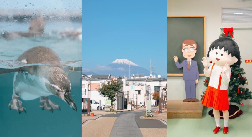 Shizuoka: รีวิวเที่ยวเจาะลึกคาบสมุทรอิซุ จากโตเกียว ตอน 3: ฝั่งตะวันตก