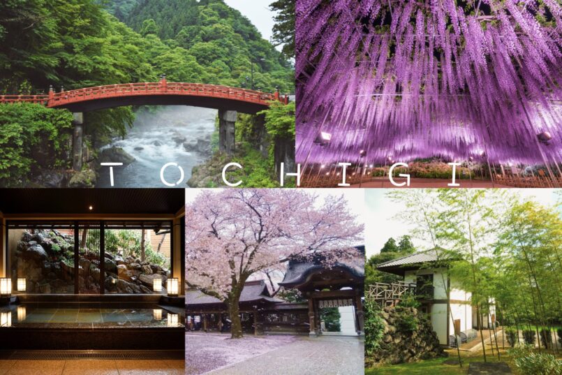 Tochigi: แนะนำ 5 เมืองใหญ่ในจังหวัดโทจิกิ เที่ยวได้ 1 วัน จากโตเกียว