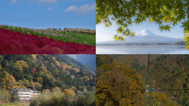 Japan through my eyes: เที่ยวในวันที่ใบไม้เริ่มเปลี่ยนสี โตเกียว และ เมืองรอบๆ