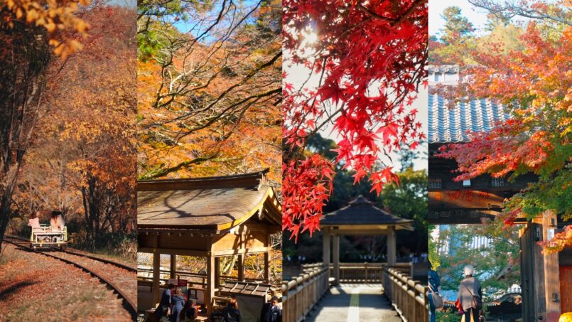 Autumn in Japan แนะนำ สถานที่ชมใบไม้เปลี่ยนสี เหนือจรดใต้ ทั่วญี่ปุ่น