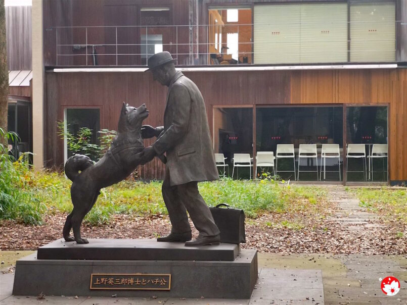 Tokyo: สิ้นสุดการรอคอย สุนัขผู้ซื่อสัตย์ ฮาจิโค ได้พบกับเจ้านายอันเป็นที่รักอีกครั้ง