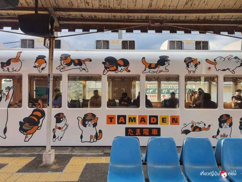 Wakayama: บินลงคันไซกับการบินไทย ตะลุยทั่วจังหวัดวะกะยะมะ กับ 15 ที่เที่ยวต้องไป