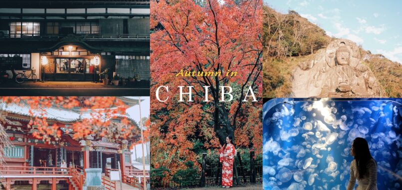 Chiba: เที่ยวจังหวัดชิบะ ประตูสู่ญี่ปุ่น แสงแรกแห่งวันใหม่ ในฤดูใบไม้ร่วง กับ 21 สถานที่ต้องไป