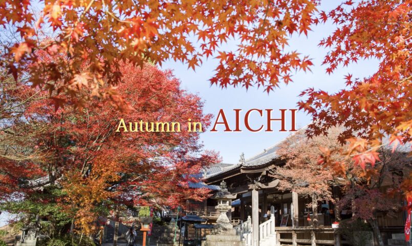 Autumn in Aichi แนะนำ 3 จุดชมใบไม้เปลี่ยนสี ในจังหวัดไอจิ ที่ไม่ควรพลาด
