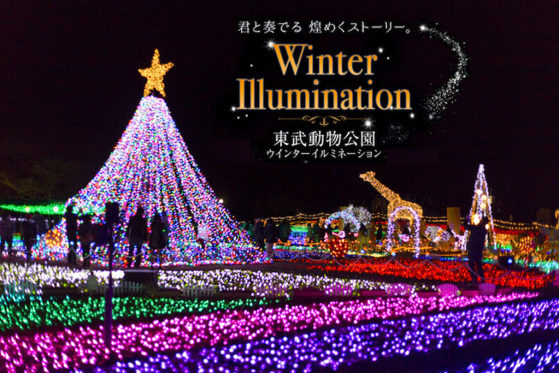 Tobu Zoo Winter Illumination ชมไฟประดับฤดูหนาว ที่สวนสัตว์โทบุ จ.ไซตามะ